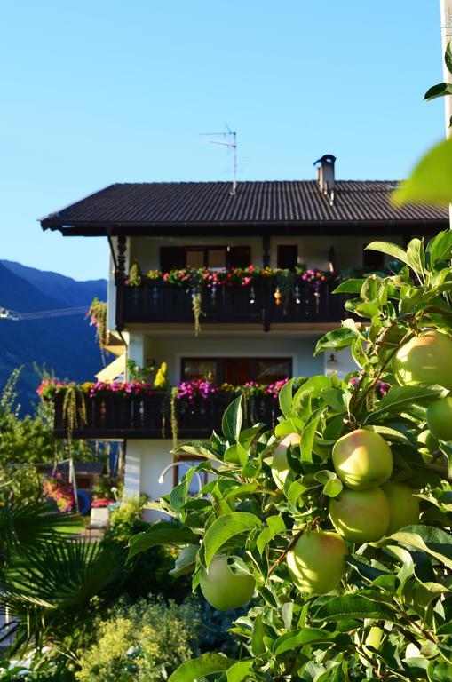 Zimmervermietung Groeberhof Schenna Ngoại thất bức ảnh